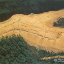 황박 묘 이미지