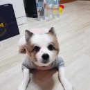 무지개다리 이미지