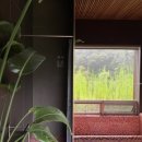 아틴해우 이미지