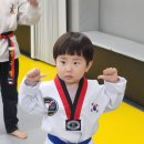 국가대표 곡정 태권도장 이미지