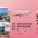 내토 이미지