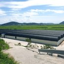 청년장어 | 설날 장어선물, 부모님이 더 좋아한 민물장어 후기 모음