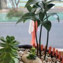 모퉁이 25시 이미지