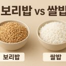 보리밥쌀밥