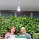 수성상사 이미지