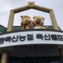 포항축산농협축산물프라자장량점 | [포항 맛집] 포항축산농협축산물프라자 장량점(한우 맛집)