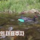 섬진강횟집 이미지