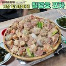 칠광 | 기장 학리방파제 포차 칠광호에서 말미잘 수육 한점
