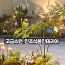 로맨스온가든 이미지