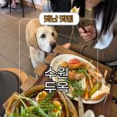 수원-1323 | 강아지 있는 수원역 브런치 카페 두옥 후기 및 주차