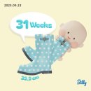 동부세탁체인공장 | 임신기록 31주~32주 일상 임산부코로나 / 막달검사 / 빨래지옥 / 양양여행