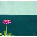 마음의 양식 이미지