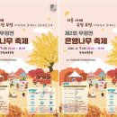 무정면 은행나무 축제 이미지