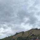 코코농장 1 이미지