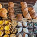 제이브라우니 이미지