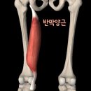 홍쌤스포츠 이미지