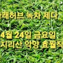 꽃나래허브 이미지