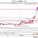 주식분석] 서희건설(035890) 종목진단 이미지