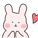 주당백서