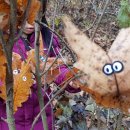 해안초교병설 이미지