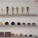 스파르타짐 이미지