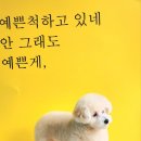 아리가독 이미지