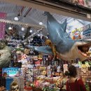 오키나와로 여행을 떠나요 이미지