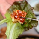 다솔식당 이미지