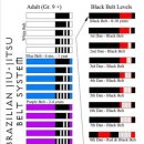 주짓수락 이미지