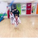 다온 태권도 이미지