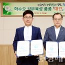 대건 이미지
