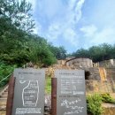 일월산자생화공원 네이버블로그