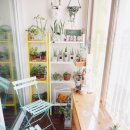 정원에 머물다 이미지