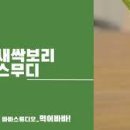 새싹처럼 이미지