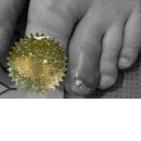 류마제통의원 이미지