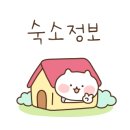 벨라마레 이미지