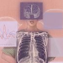 PULSE Training 이미지