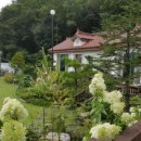 꽃뱅이정원 이미지