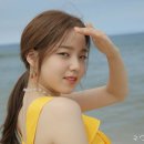 오션컴퍼니 이미지