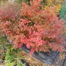 태농농장 이미지