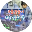 하숑하숑