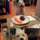 생일이개 이미지