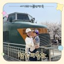 버스승차대 15-221 | 의왕 철도박물관 왕송호수 벚꽃 시즌, 아기랑 봄 나들이 코스 추천