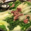 오리장군 이미지