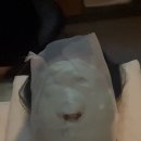 결혼준비 ) 예신이라면 꼭 받아야 할 스킨케어! 스파나무 청담점 파워화이트닝 솔직 후기