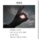 디카시로 일상을 빗다 9)_아임코리안 게재 2026.08.29. 이미지