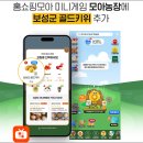 보성골드