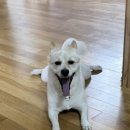 소사로794번길 이미지