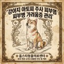 지팡이동물병원 | 강아지 아토피 주사 피부염 피부병 가려움증 관리 가이드(v1.0)