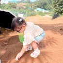 바보농장 | 아기와 함께한 큰가일 밤농장 밤줍기 체험 후기 🌰